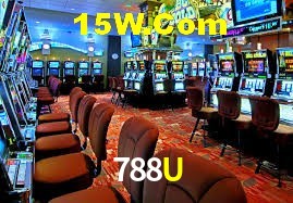 Bonus Features 788U