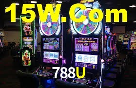 Tournaments 788U